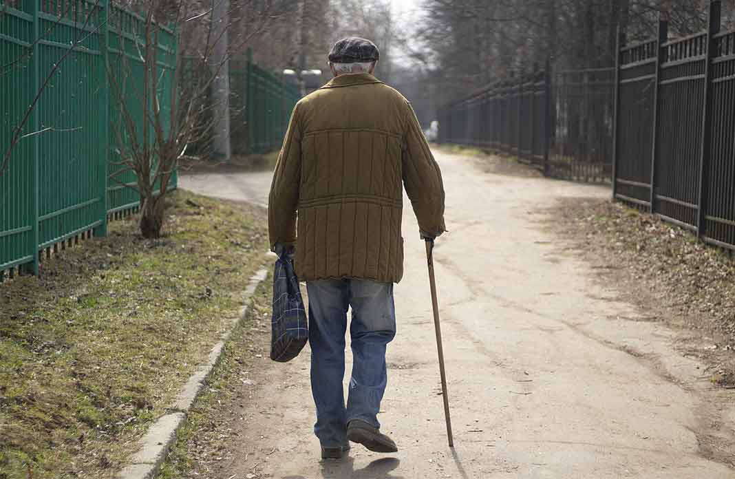 Best Walking Sticks For Seniors